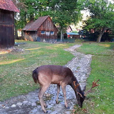 Gemuetliche Am Wildgehege Lejlighed Walsrode